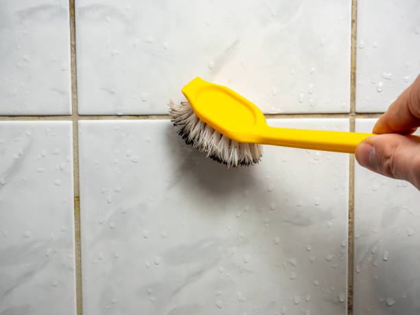 Mold Removal and Inspection in Buckeye, AZ