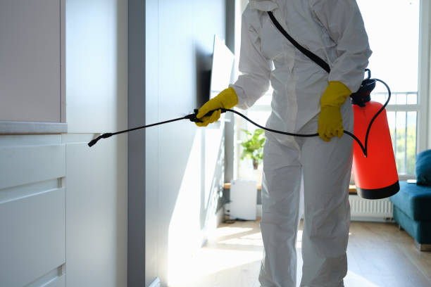 Best Toxic Mold Removal  in Buckeye, AZ