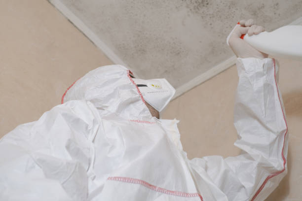 Best Residential Mold Removal  in Buckeye, AZ